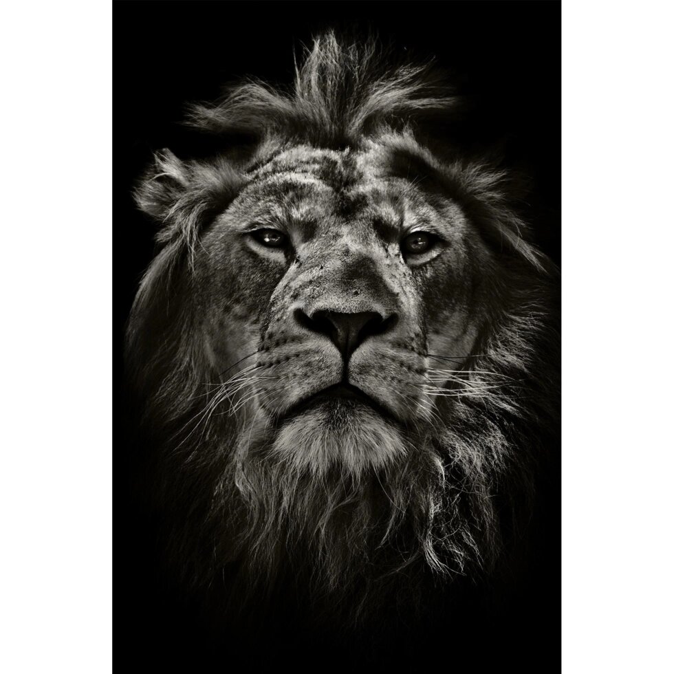 Картина на стекле «Мудрый лев» 40х60 см от компании ИП Фомичев - фото 1