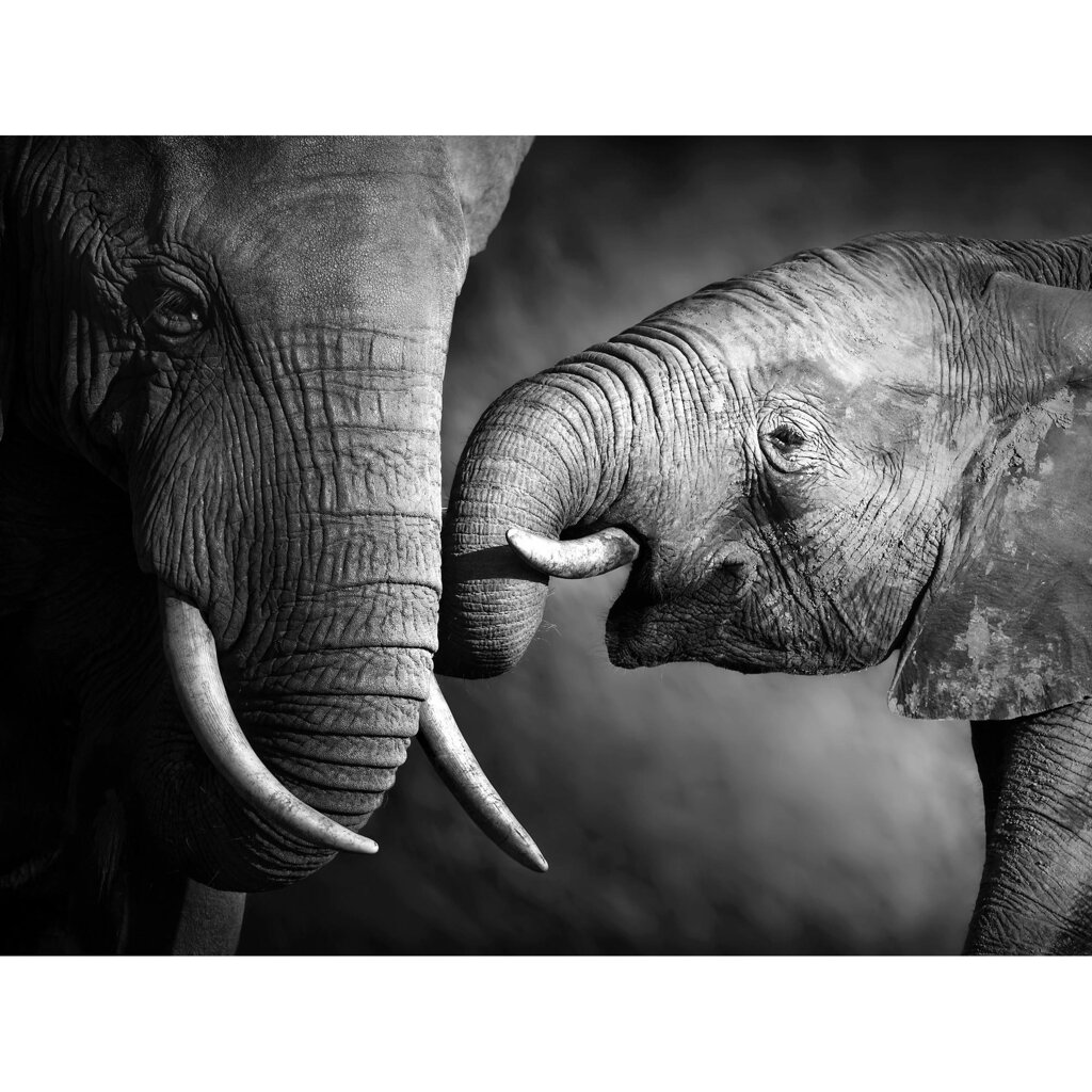 Картина на стекле Семейство слонов 80x60 см от компании ИП Фомичев - фото 1