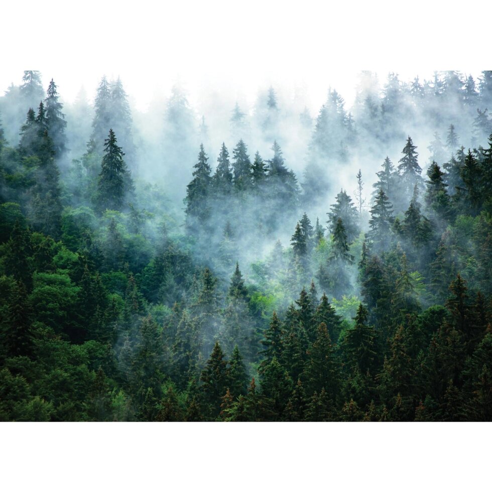 Картина на стекле «Туманный лес 2» 50x70 см от компании ИП Фомичев - фото 1