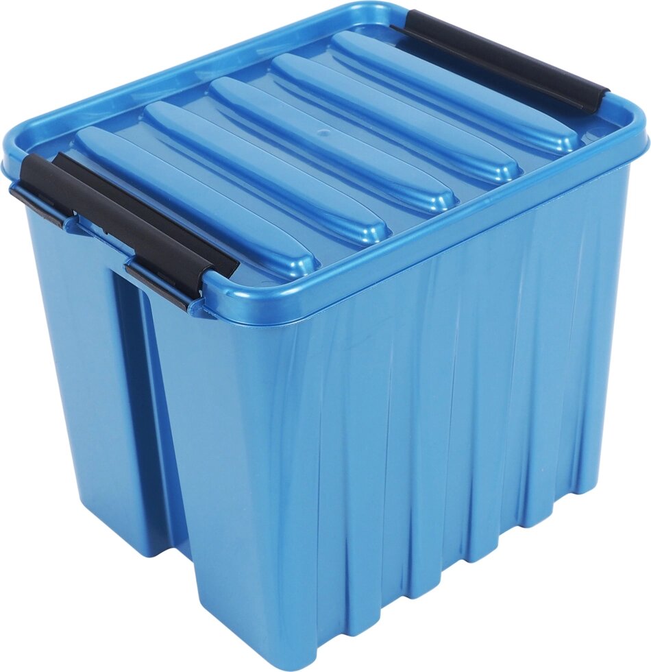 Контейнер Rox Box 21х17x18 см, 4.5 л, пластик цвет синий  с крышкой от компании ИП Фомичев - фото 1