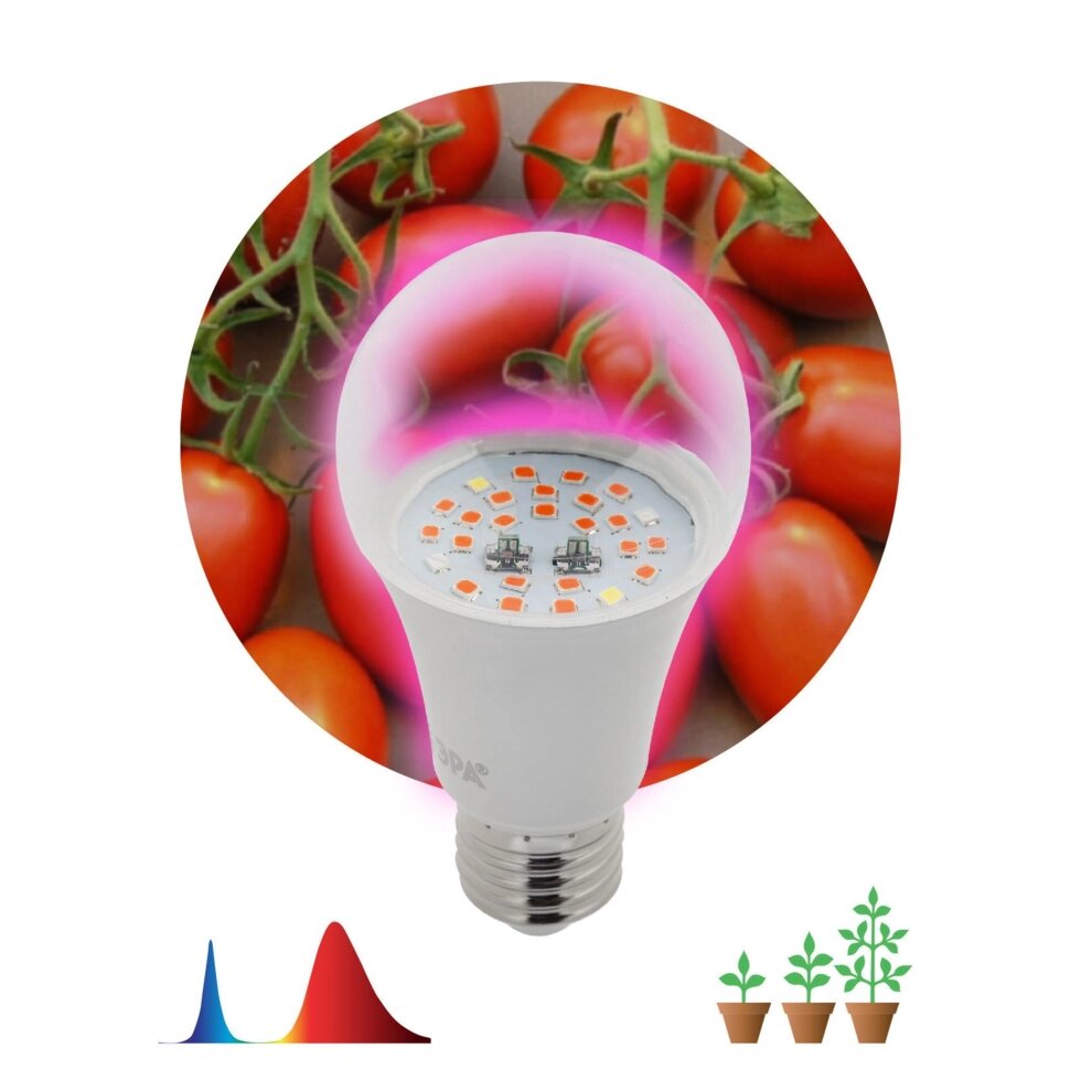 Лампа для растений 10W E27, груша, красно-синий спектр, фиолетовый цвет свечения от компании ИП Фомичев - фото 1