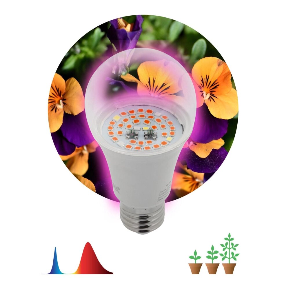 Лампа для растений 12W E27, груша, красно-синий спектр, фиолетовый цвет свечения от компании ИП Фомичев - фото 1
