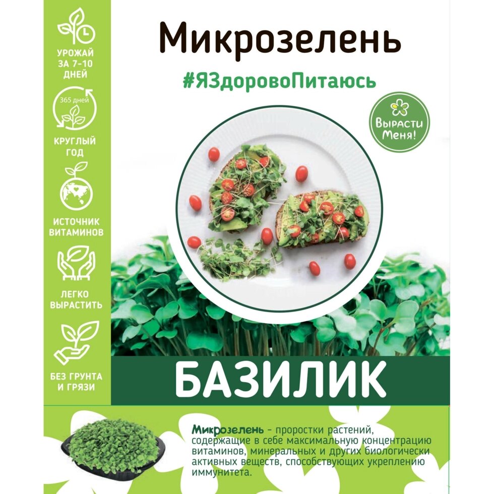 Набор для выращивания микрозелени базилика от компании ИП Фомичев - фото 1