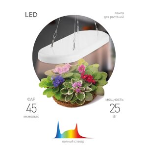 Светильник светодиодный Эра Fito для растений 25W-QLED подвесной