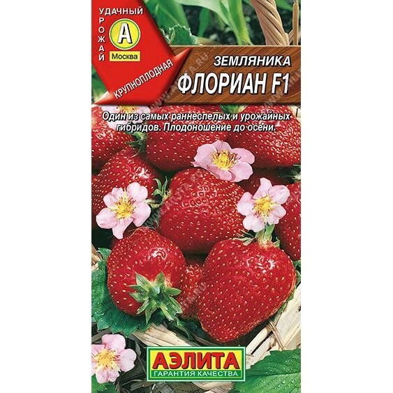 Семена плодово-ягодных растений Аэлита земляника Флориан F1 - обзор