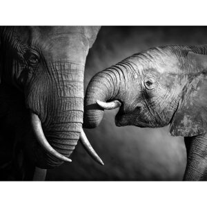 Картина на стекле Семейство слонов 80x60 см