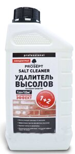 PROSEPT SALT CLEANER - Удалитель Высолов концентрат 1:2, 1л.