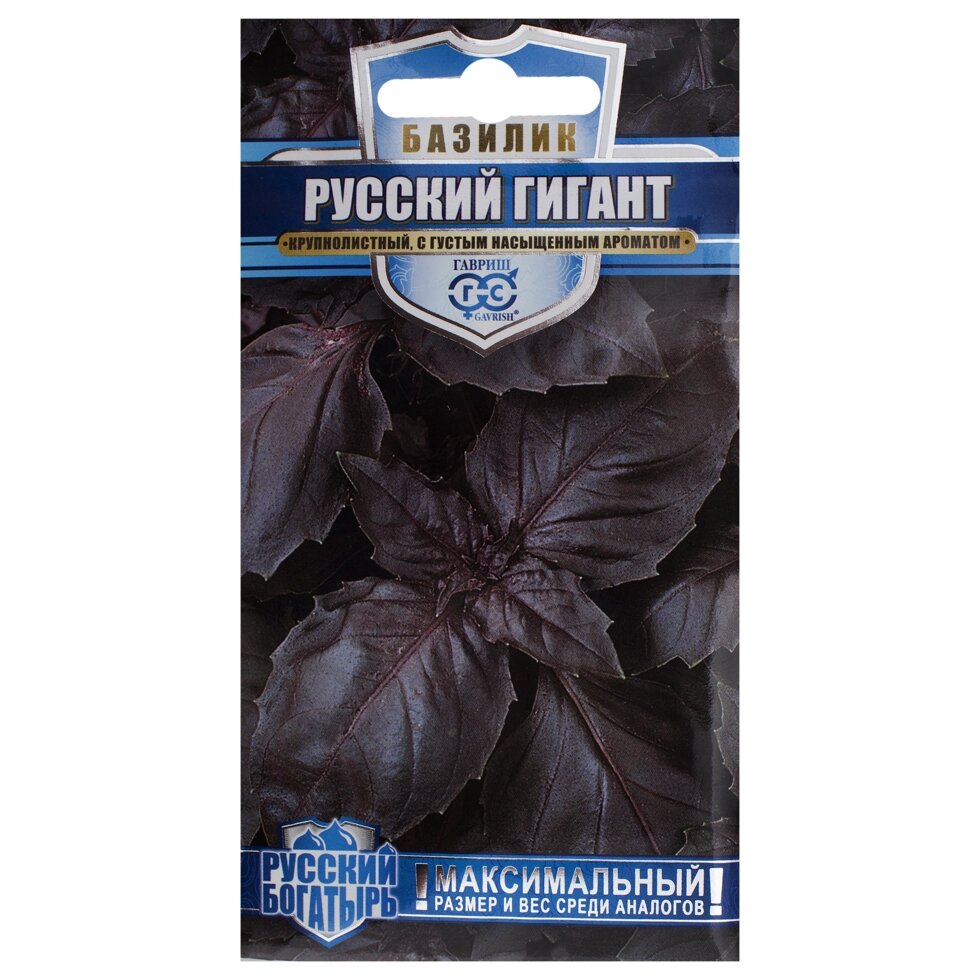 Семена Базилик фиолетовый «Русский гигант» - фото