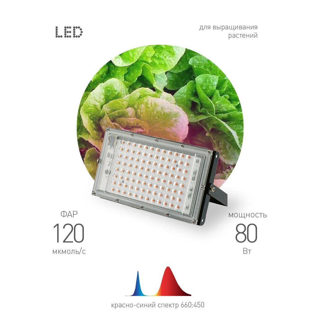Прожектор светодиодный для растений Fito-80W-RB-LED-Y красно-синего спектра 80 Вт от компании ИП Фомичев - фото 1