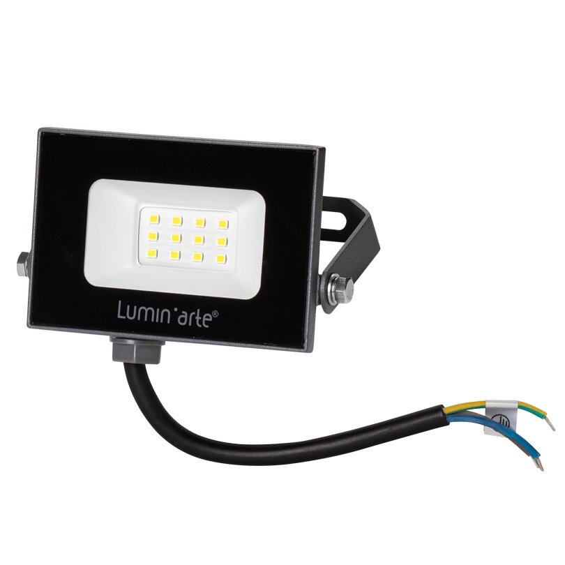 Прожектор светодиодный уличный Luminarte 10 Вт 5700K IP65 холодный белый свет от компании ИП Фомичев - фото 1