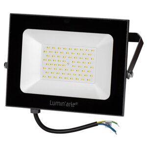 Прожектор светодиодный уличный Luminarte 100 Вт 5700K IP65 холодный белый свет