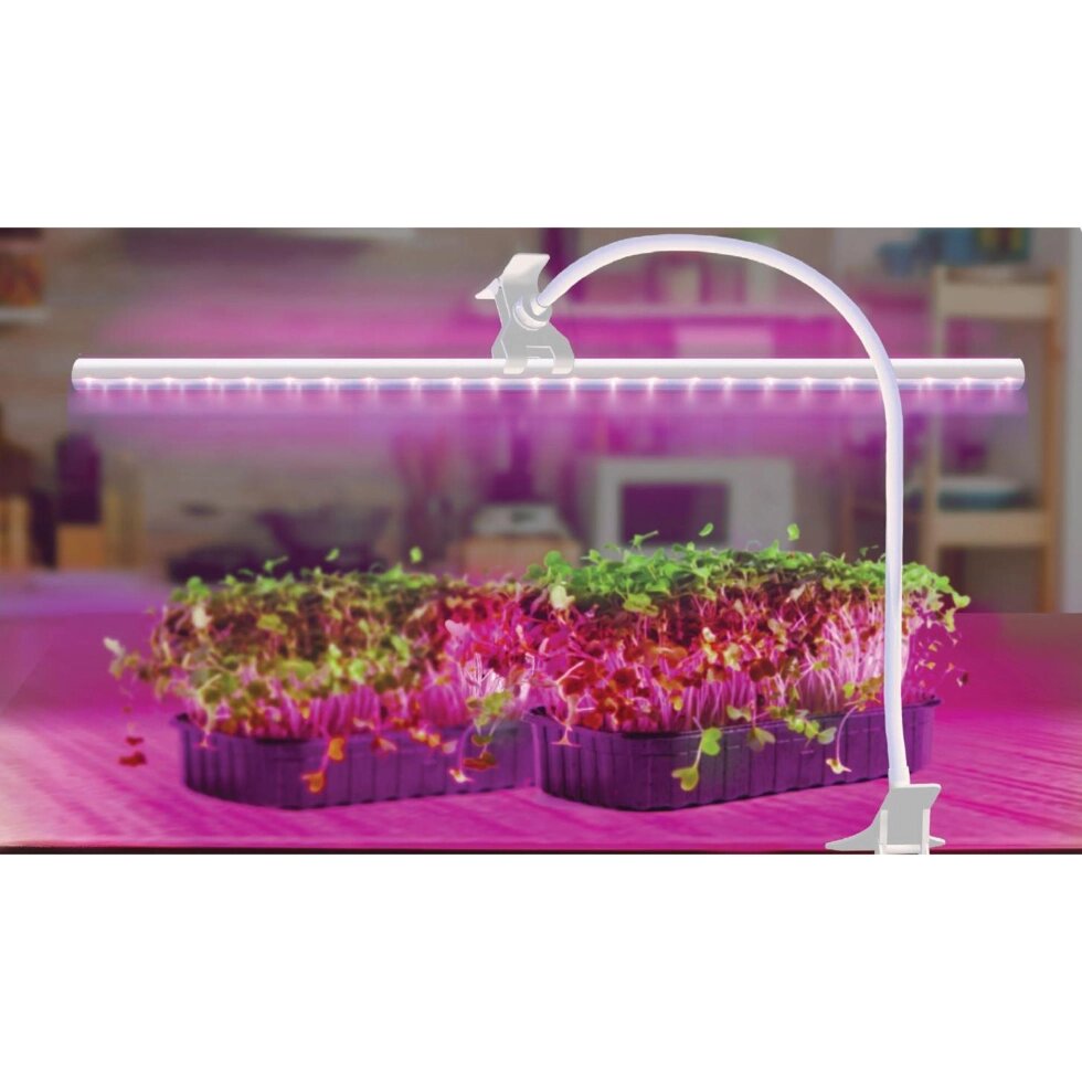 Светильник для растений на кронштейне с прищепкой Ritter 56304 4, 10 Вт, 13,5 ? mol/s, 572 мм, фиолетовый свет от компании ИП Фомичев - фото 1