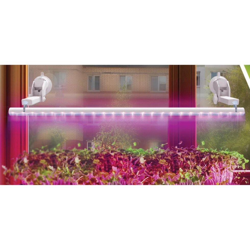 Светильник для растений на кронштейне с присосками Ritter 56300 6, 10 Вт, 13,5 ? mol/s, 572 мм, фиолетовый свет от компании ИП Фомичев - фото 1