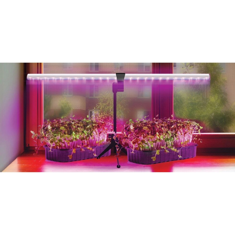 Светильник для растений на штативе с держателем Ritter 56302 0, 10 Вт, 13,5 ? mol/s, 572 мм, фиолетовый свет от компании ИП Фомичев - фото 1