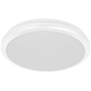 Светильник светодиодный ДПБ 3003 18 Вт IP54, накладной, круг, цвет белый
