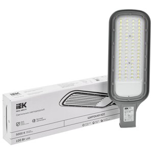 Светильник светодиодный уличный IEK «ДКУ» 100 Вт 5000 К IP65
