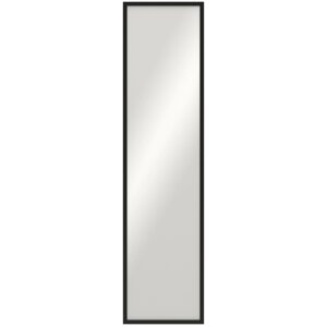 Зеркало декоративное Вега прямоугольник 30x120 см цвет черный