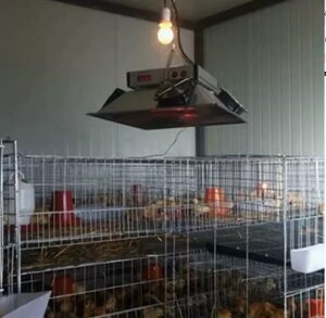 Электрические нагреватели для птицефермы