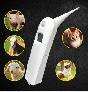 Термометр для животных, Ветеринарный термометр, градусник для животных