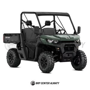 Can-Am Traxter DPS HD9 Зеленый 2025 INT