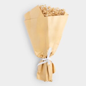 Букет декоративный, 37 см, сухоцветы, Бежевая гипсофила, Dried flower