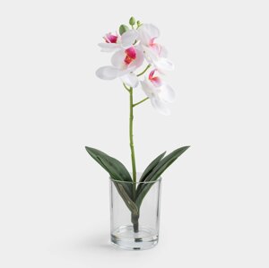 Букет искусственный, 26 см, в вазе, ТЭП/стекло, Белая орхидея, Orchid