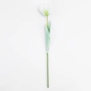 Цветок искусственный, 68 см, пластик/бумага, белый, Тюльпан, Tulip garden