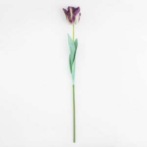 Цветок искусственный, 68 см, пластик/бумага, Тюльпан, Tulip garden