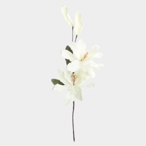 Ветка декоративная, 90 см, пластик/пенопласт, Молочная магнолия, Magnolia