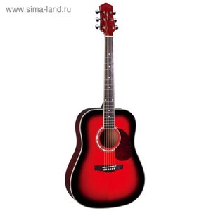 Акустическая гитара Naranda DG220BS