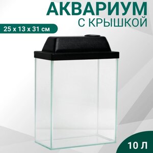 Аквариум Прямоугольный "Колонна Ширма" 10 литров, 25 х 13 х 31 см, чёрный