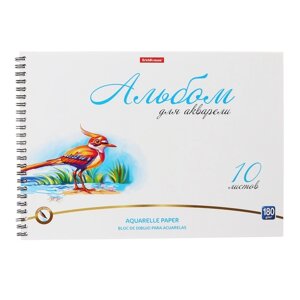 Альбом для акварели А4, 10 листов на спирали, Erich Krause Birds, блок 180 г/м²экстра белая, перфорация для отрыва, твердая подложка