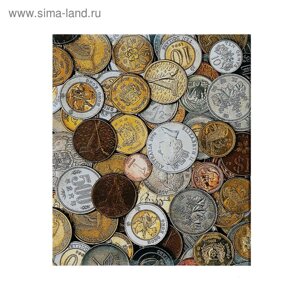 Альбом для монет на кольцах, формат Оптима 225 х 265 мм Calligrata, входит до 20 листов, обложка ламинированный картон