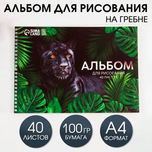 Альбом для рисования 40 листов А4 на пружине «1 сентября: Пантера» обложка 200 г/м2, бумага 100 г/м2.