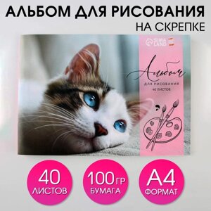 Альбом для рисования 40 листов А4 на скрепке «1 сентября: Котёнок» обложка 160 г/м2, бумага 100 г/м2.