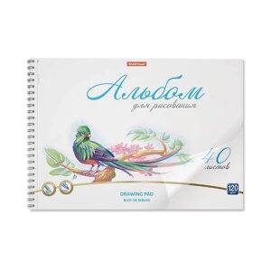 Альбом для рисования А4, 40 листов, блок 120 г/м²на спирали, Erich Krause "Birds", пластиковая обложка, 100% белизна, перфорация на отрыв, твердая подложка