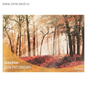 Альбом для рисования А4, 40 листов на скрепке "Лес осенью", обложка мелованный картон, внутренний блок офсет 100 г/м²
