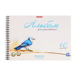 Альбом для рисования А4, 40 листов на спирали, Erich Krause Birds, блок 120 г/м²100% белизна, перфорация для отрыва, твёрдая подложка