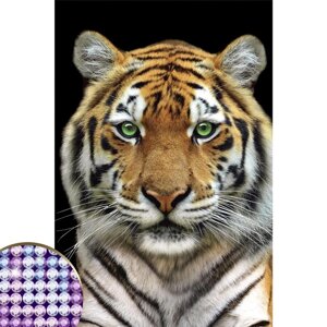 Алмазная мозаика с частичным заполнением «Тигр» 2030 см, на холсте