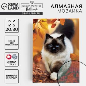 Алмазная мозаика с полным заполнением на холсте «Кошка», 20 х 30 см