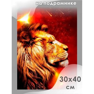 Алмазная мозаика «Сила огня», 30 40 см