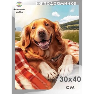 Алмазная мозаика «Собака-улыбака», 30 40 см, на подрамнике