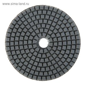 Алмазный гибкий шлифовальный круг ТУНДРА "Черепашка", для мокрой шлифовки, 100 мм,10000