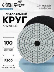 Алмазный гибкий шлифовальный круг ТУНДРА "Черепашка", для мокрой шлифовки, 100 мм,200