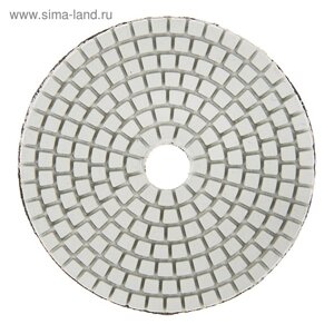 Алмазный гибкий шлифовальный круг ТУНДРА "Черепашка", для мокрой шлифовки, 100 мм,3000