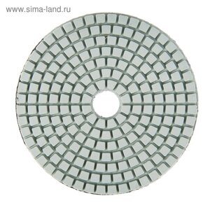 Алмазный гибкий шлифовальный круг ТУНДРА "Черепашка", для мокрой шлифовки, 100 мм,800
