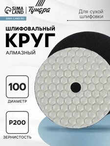 Алмазный гибкий шлифовальный круг ТУНДРА "Черепашка", для сухой шлифовки, 100 мм,200