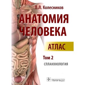 Анатомия человека. Атлас: В 3-х томах. Том 2. Спланхнология. Колесников Л. Л.