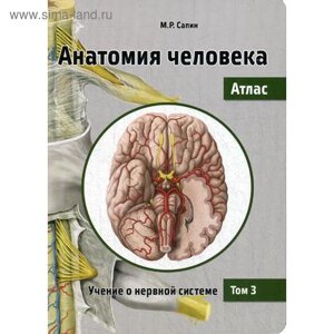 Анатомия человека. Атлас. В 3 томах. Том 3: Учение о нервной системе. 2-е издание, переработанное. Сапин М. Р.