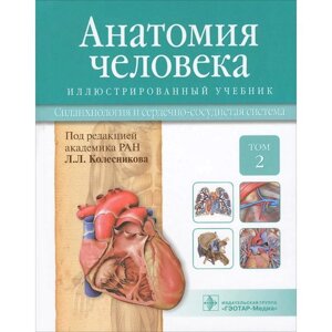 Анатомия человека. В 3-х томах. Том 2. Спланхнология и сердечно-сосудистая система. Колесников Л. Л.